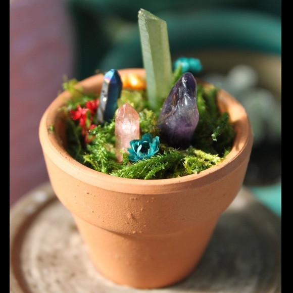 Mini Crystal Garden - Picture 3 of 3